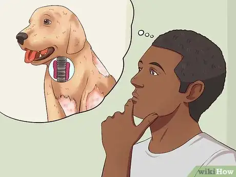 Image titled Diagnose and Treat Your Dog's Itchy Skin Problems Step 9