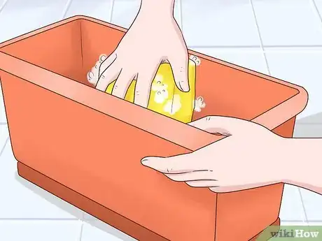 Image titled Grow Carrots in Pots Step 3