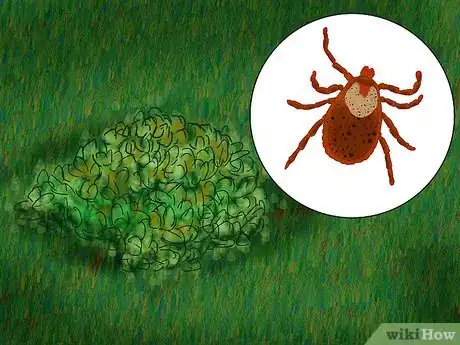 Image titled Prevent Tick Bites While Camping Step 2