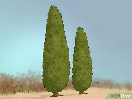 Image titled Buy an Oak Tree Step 9