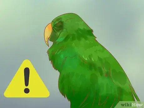 Image titled Keep Your Pets Happy Step 16