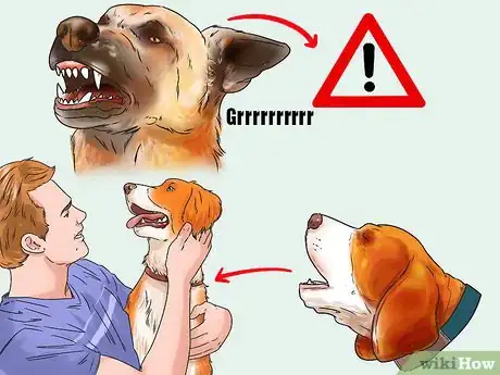 Image titled Decode Your Dog's Barks Step 2