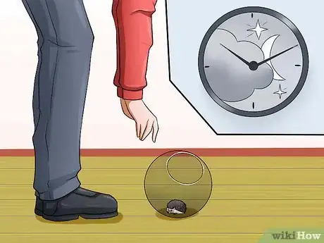 Image titled Help Your Hedgehog Get Used to Handling Step 10