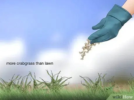Image titled Get Rid of Crabgrass Step 5