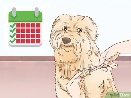 Image titled Groom a Wheaten Terrier Step 20