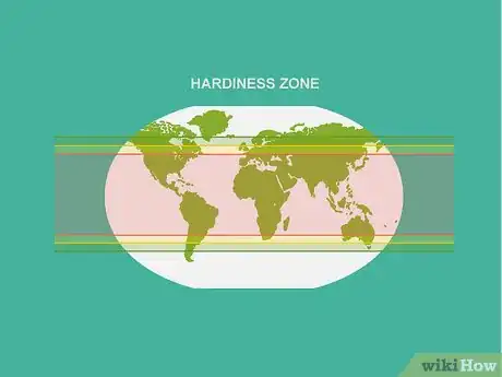 Image titled Grow Cumin Step 11