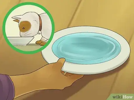 Image titled Catify Your Room Step 4