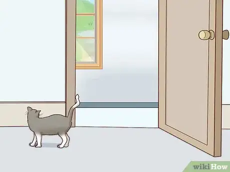 Image titled Train a Cat to Stop Fearing Sudden Movements Step 10