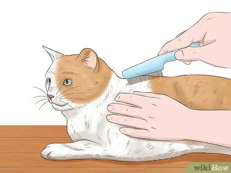 Image titled Protect Your Pets from Summertime Pests Step 23