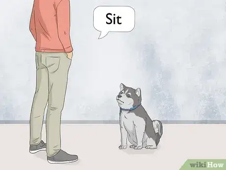 Image titled Train Seizure Alert Dogs Step 6