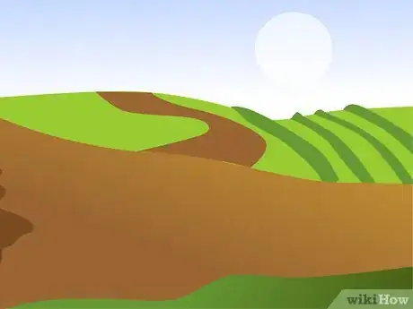 Image titled Grow Ornamental Flowering Kale Plants Step 1