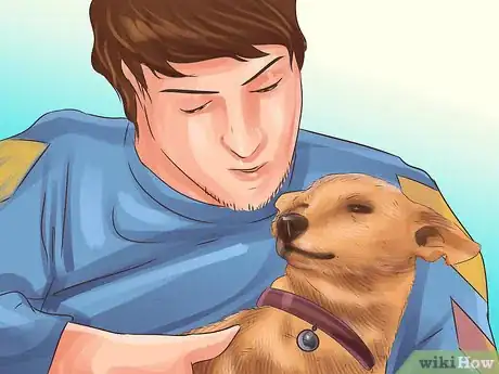 Image titled Get a Dog Out of a Busy Road Step 9