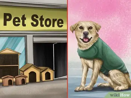 Image titled Keep an Older Dog Warm in Cold Weather Step 2