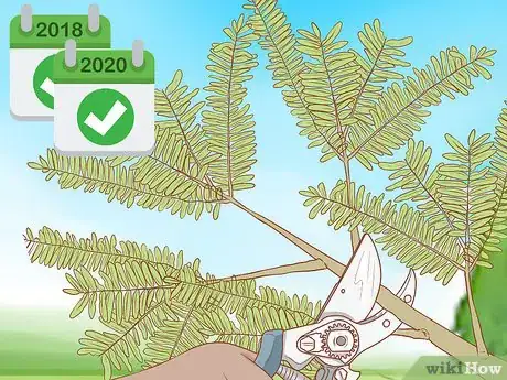 Image titled Plant a Mesquite Tree Step 9