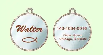 Be Responsible when You Have a Cat