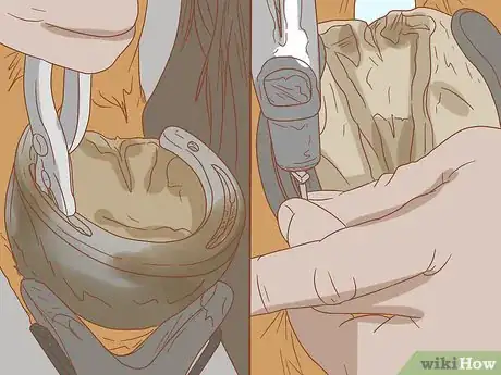 Image titled Manage a Laminitis Prone Horse Step 5