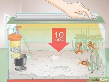 Image titled Cure Red Slime Algae in Marine Aquariums Step 8