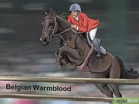 Image titled Choose the Right Breed of Horse for You Step 15