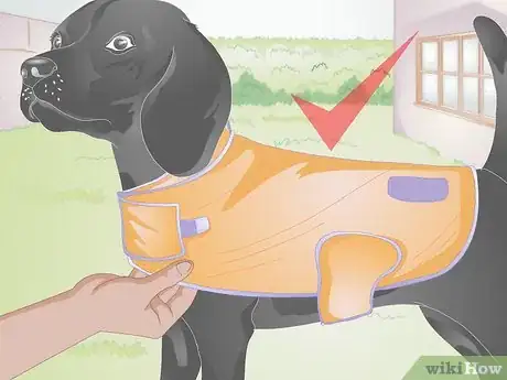 Image titled Buy Pet Training Supplies Step 9