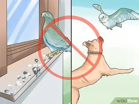 Image titled Protect Pets from Urban Dangers Step 12