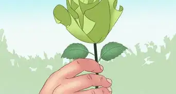 Fold Money Into a Flower