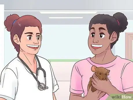 Image titled Diagnose Heart Murmurs in Chinchillas Step 8