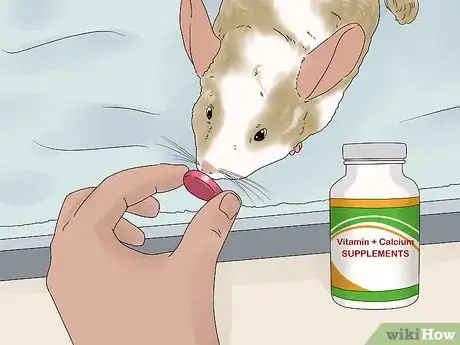 Image titled Manage Broken Bones in Chinchillas Step 12
