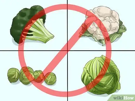 Image titled Care for Satin Angora Rabbits Step 10