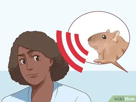 Image titled Keep a Gerbil Safe Around Other Pets Step 13