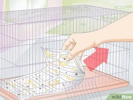 Image titled Clean Out a Guinea Pig's Hutch Step 5