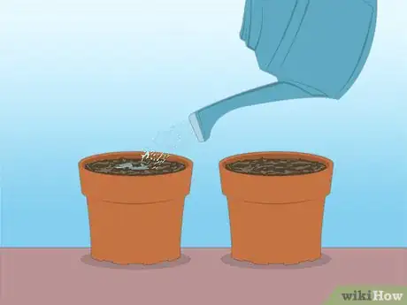 Image titled Propagate Azaleas Step 35