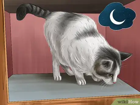 Image titled Protect Your Cat in Summer Step 12