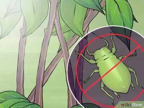 Image titled Prune Spirea Shrubs Step 17