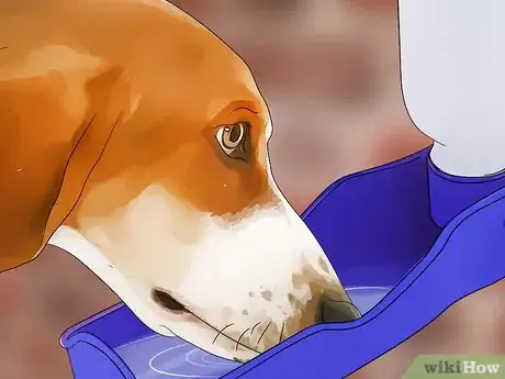 Image titled Protect Pets from Lead Poisoning Step 2