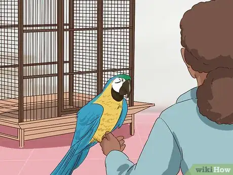 Image titled Treat Macaw Wasting Disease Step 5