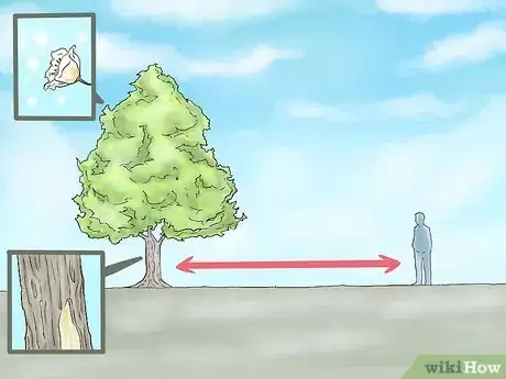 Image titled Plant a Tulip Poplar Tree Step 4