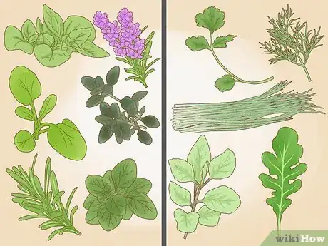 Image titled Grow an Herb Garden Step 7