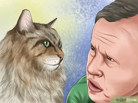 Image titled Make Vet Visits Less Stressful for Your Cat Step 10