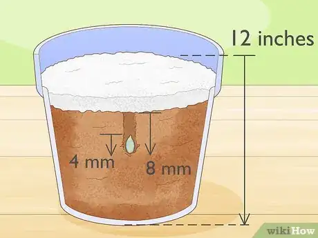 Image titled Grow Giant Vegetables Step 3