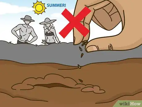 Image titled Grow Iceberg Lettuce Step 1