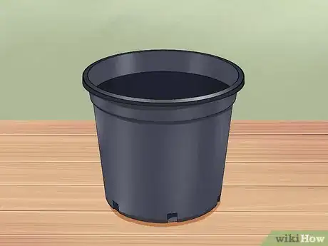 Image titled Grow Four O' Clock Flowers Step 9