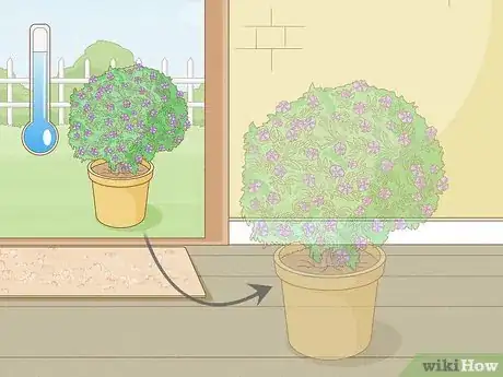 Image titled Care for a Purple Flower Potato Bush Step 14