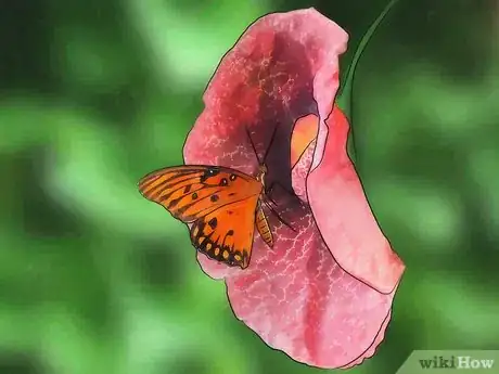 Image titled Attract Butterflies Step 8