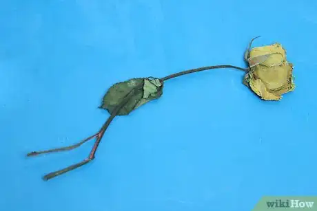 Image titled Dye Dried Roses Step 1