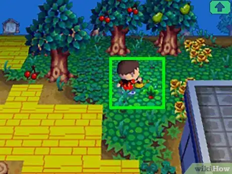 Image titled Get Red Turnips in Animal Crossing Step 5