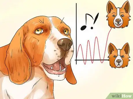 Image titled Decode Your Dog's Barks Step 7