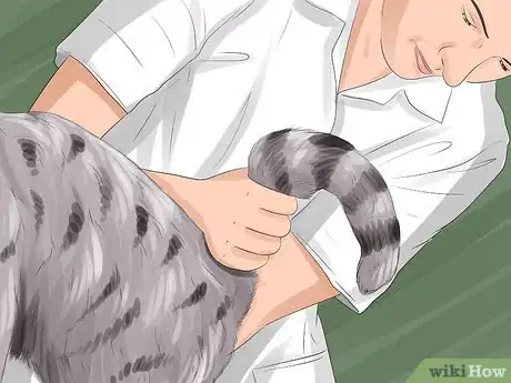 Image titled Have a Successful Visit to the Vet Step 11