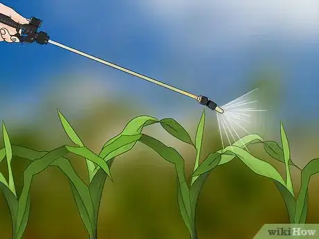 Image titled Control Johnson Grass Step 7