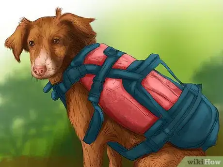 Image titled Keep Your Dog Safe on a Boat Ride Step 8
