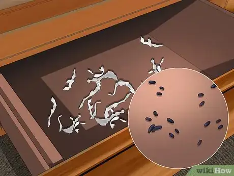 Image titled Keep Rats Away Step 12